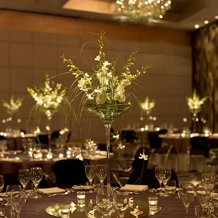 Hyatt Regency Szálloda Mainz